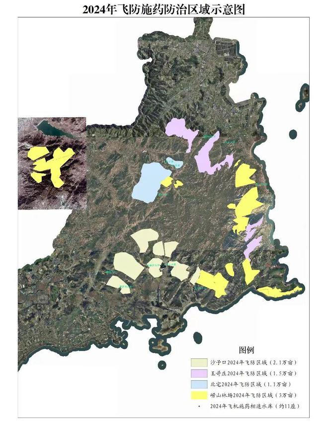 青岛市崂山区林业有害生物防控指挥部办公室关于2024年度飞机施药防治松褐天牛的公告(图2)