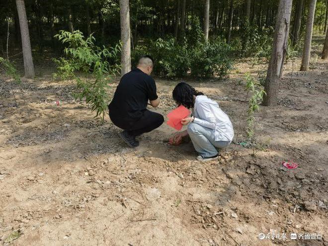 M6米乐平台：乐陵市2024年美国白蛾飞机施药防治工作拉开序幕(图4)