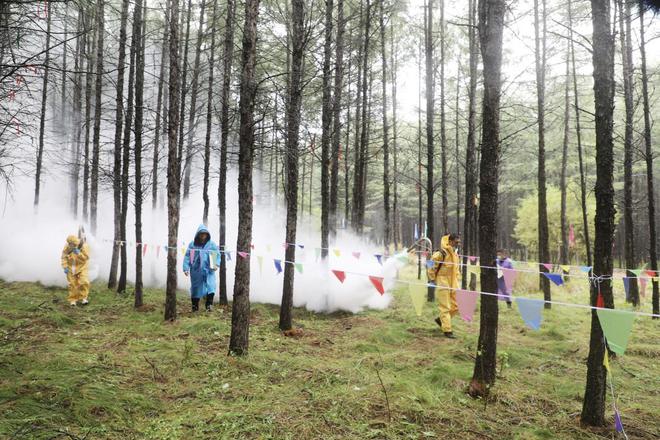 大小兴安岭比拼“防治员职业技能”林业有害生物都有什么？(图1)