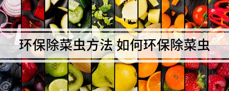 环保除菜虫方法(图1)