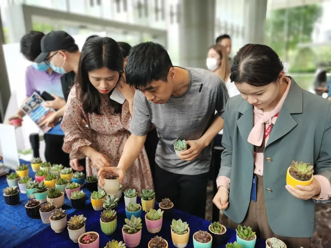 M6米乐：房天下产业网(图1)