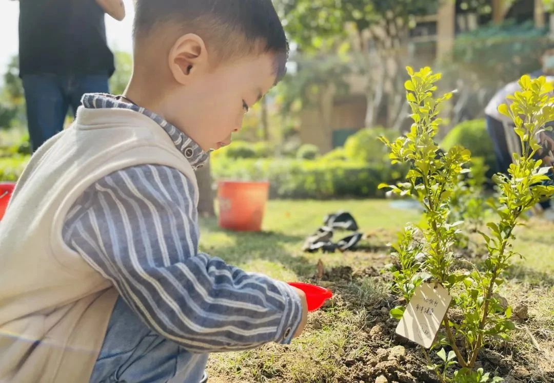 M6米乐：房天下产业网(图4)