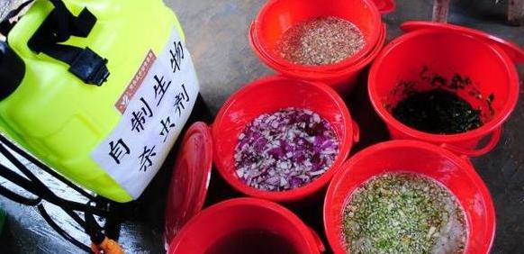 怎么样制作杀虫剂省钱环保？3个小方法将虫卵、细菌都灭掉(图5)