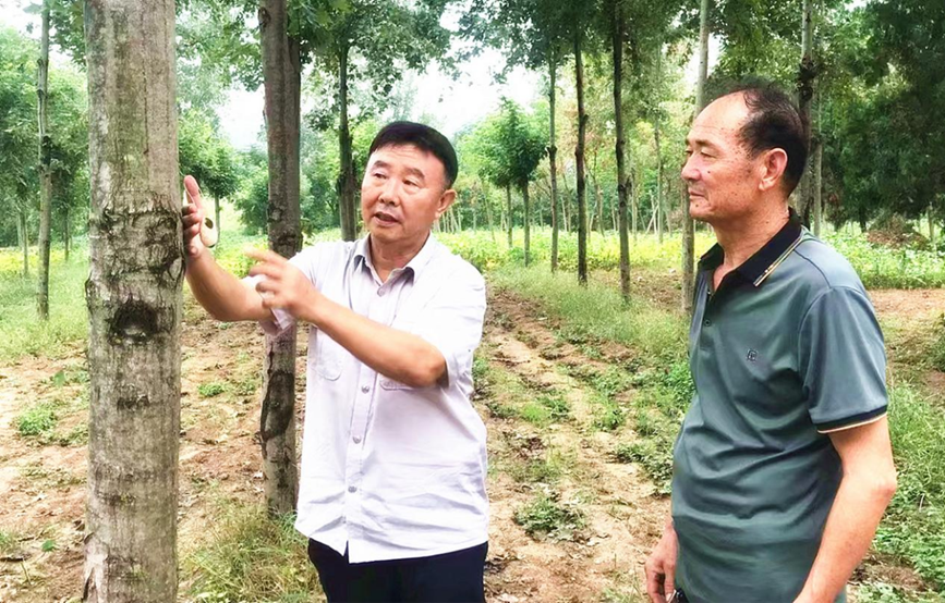 M6米乐平台：河南舞钢：“以虫治虫”新技术