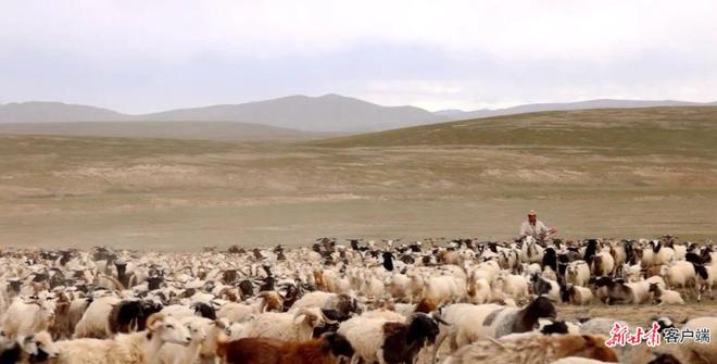 【甘快看·沿着边境看中国】甘肃肃北：马鬃山绽放的民族团结之花(图3)