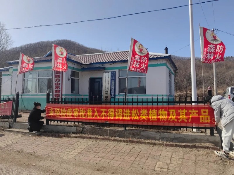 M6米乐：开展有害生物防控厚植绿水青山底色——天桥岭林业有限公司开展2024年有害生物防治宣传周活动(图2)