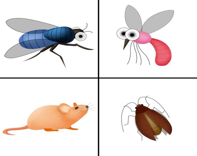 天全县2024年秋季灭鼠、蚊、蝇、蟑螂公告