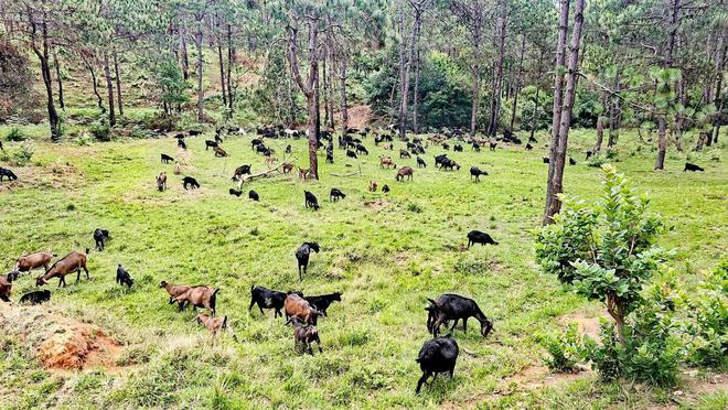 鄂尔多斯市凯图科技有限公司中标鄂托克旗2024年草原有害生物防控工作中标金额722850元(图5) 鄂尔多斯市凯图科技有限公司中标鄂托克旗2024年草原有害生物防控工作中标金额722850元(图5)