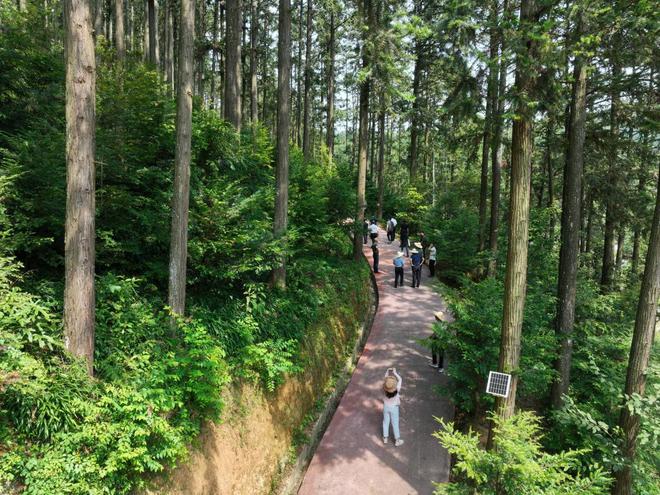 全国生态日丨我国生态环境和质量持续改善