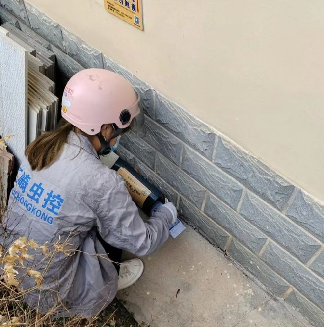 M6米乐平台：灭鼠！昌江防治有一套(图4)