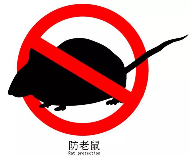 M6米乐平台：灭鼠！昌江防治有一套(图12)