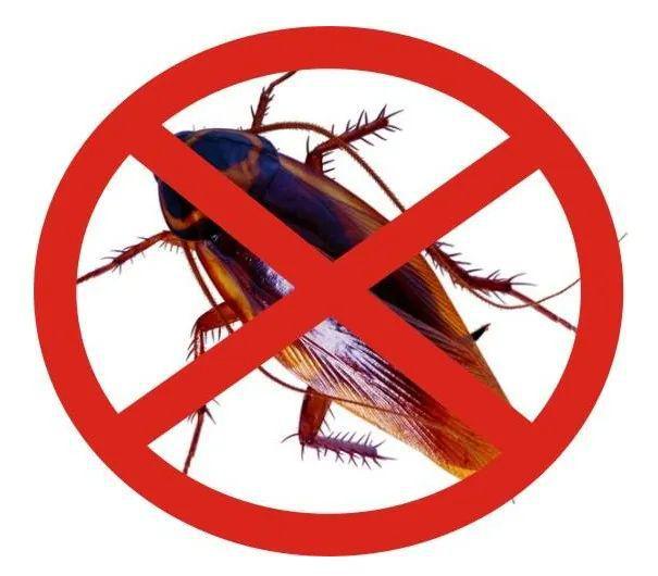 M6米乐平台：灭鼠！昌江防治有一套(图15)