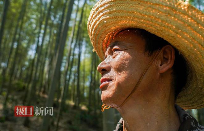 M6米乐：“灭蝗猎人”护安楠(图2)