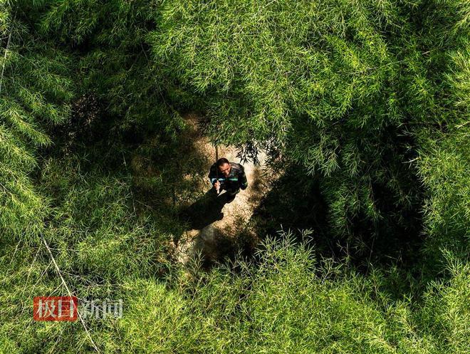 M6米乐：“灭蝗猎人”护安楠