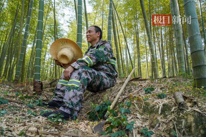 M6米乐：“灭蝗猎人”护安楠(图3)
