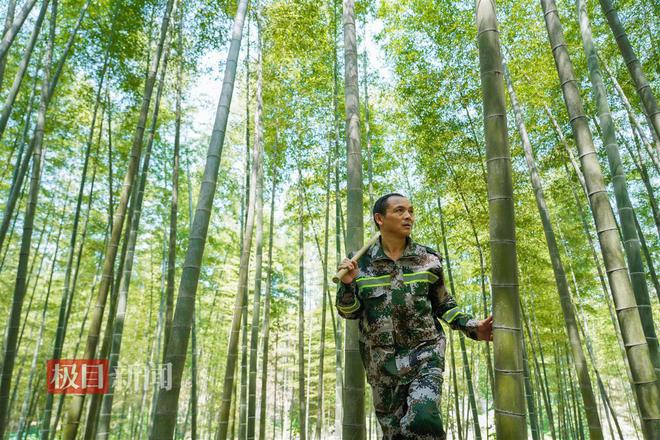 M6米乐：“灭蝗猎人”护安楠(图4)