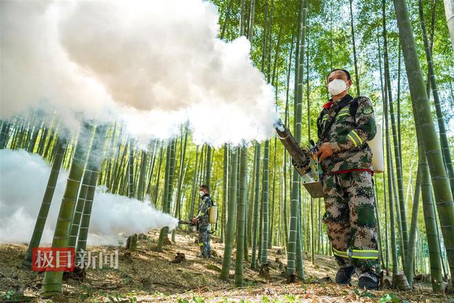 M6米乐：“灭蝗猎人”护安楠(图6)