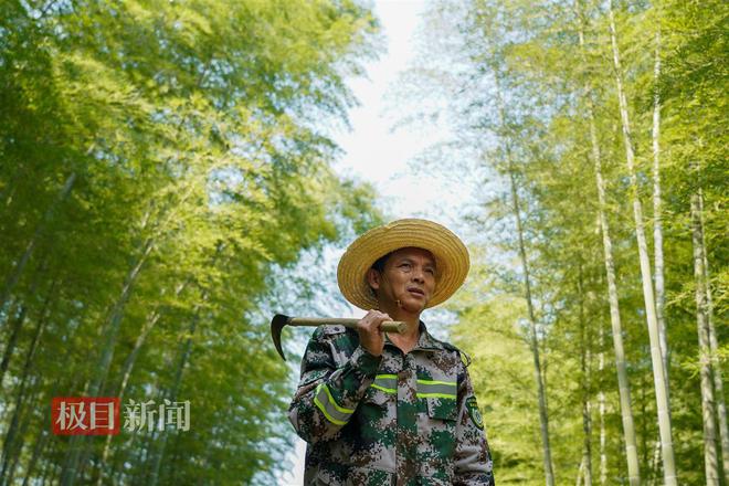 M6米乐：“灭蝗猎人”护安楠(图7)