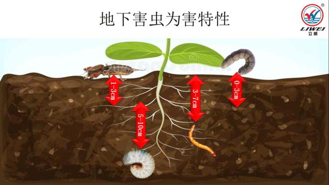 2024年12月23日适合消灭害虫吗2024年12月23日是消灭害虫的黄道吉日吗(图4)