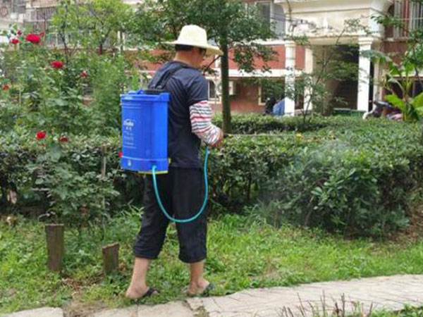 西安在夏秋转换的时候除四害