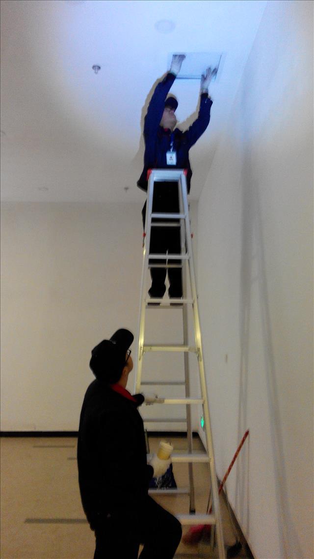 双流环保灭螨虫公司费用一站式贴心服务