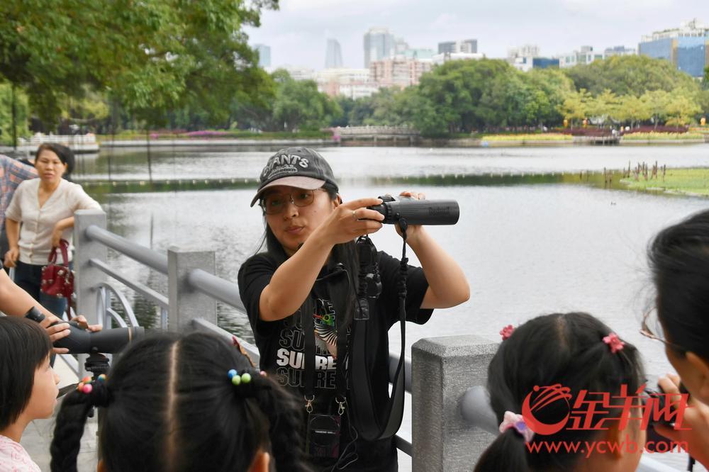 护飞行动、鸟翔流花广州市流花湖公园开展2024鸟类科普活动(图3)