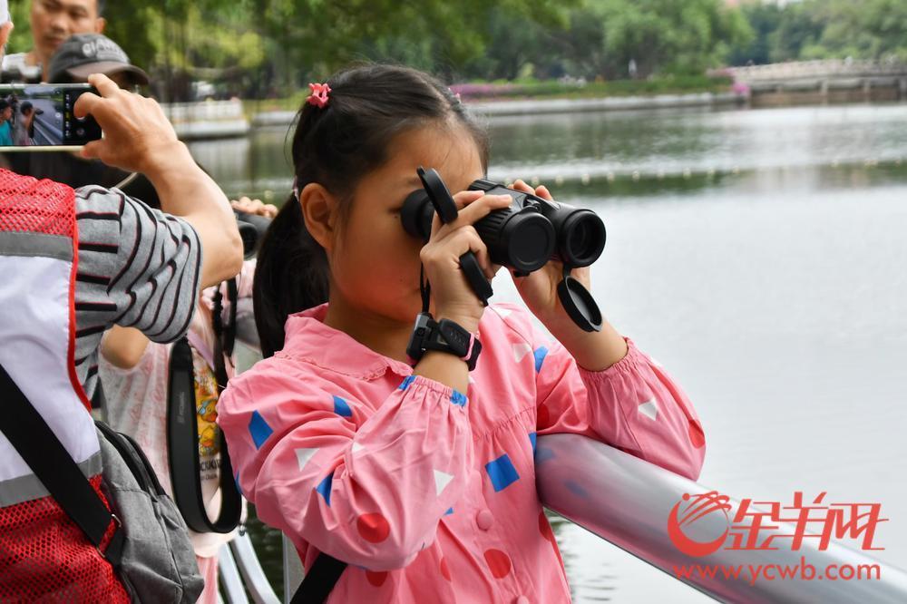 护飞行动、鸟翔流花广州市流花湖公园开展2024鸟类科普活动(图4)