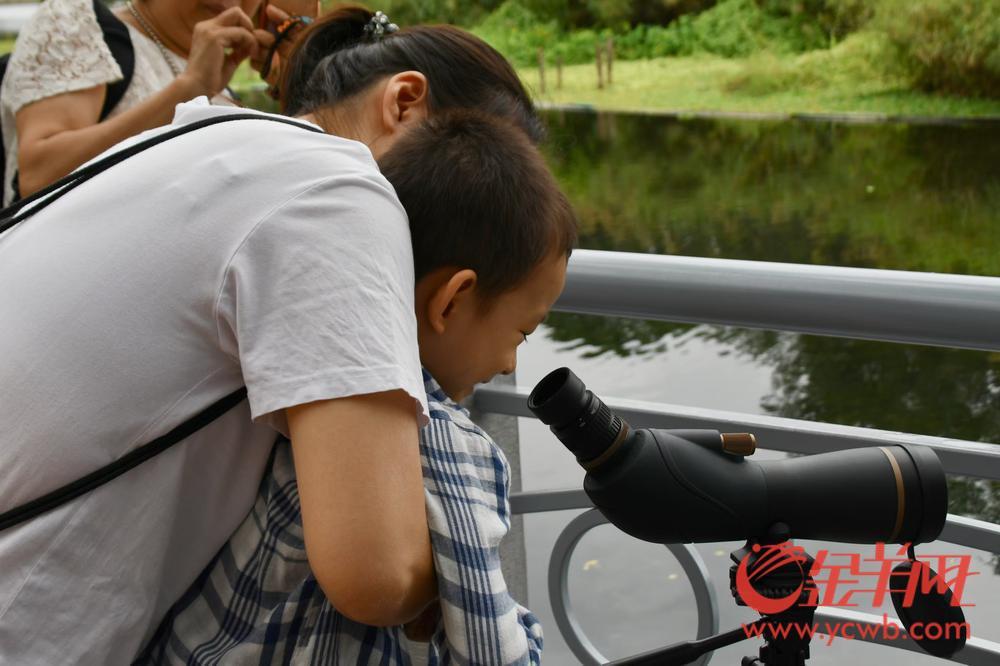 护飞行动、鸟翔流花广州市流花湖公园开展2024鸟类科普活动(图5)