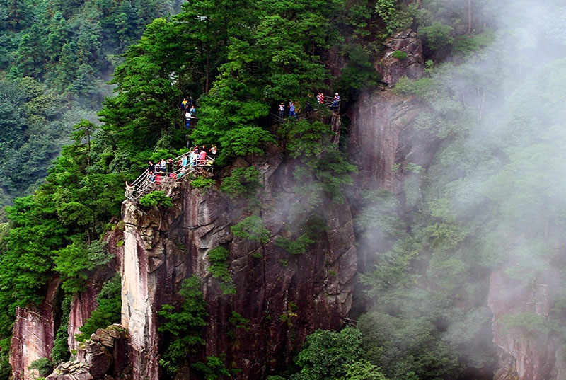 “森态+”让武功山生态更美生活更好(图2)