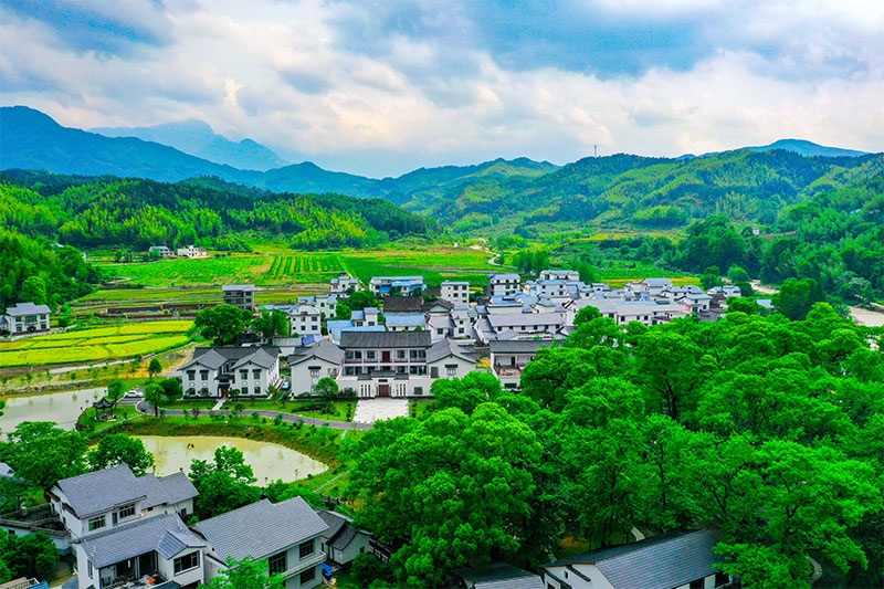 “森态+”让武功山生态更美生活更好(图1)