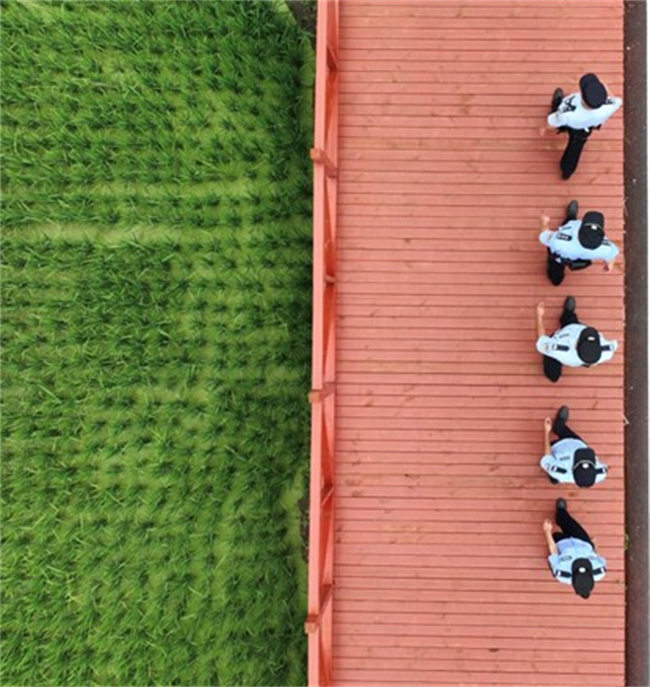 凉山公安：“生态警务”绘就绿水青山“平安色”