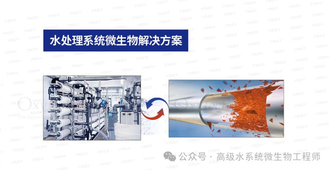 纯水系统微生物控制：菌落总数从正常标准到异常升高该如何处理(图3)