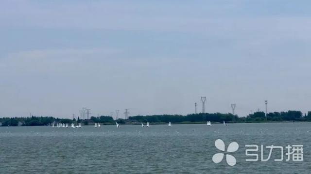 M6米乐：新规来了！购房契税降至1%、全国推广应用数电发票……(图6)