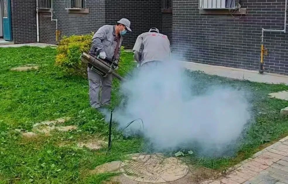 宁夏中卫市开展2024年冬季病媒生物消杀突击行动
