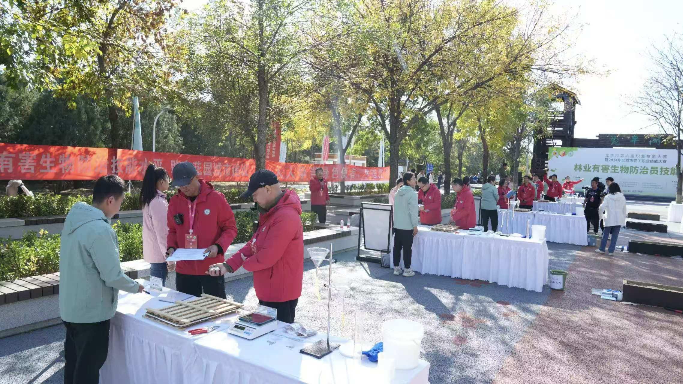 以赛促学林木健康卫士展示技能风采