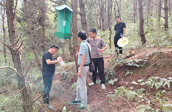 黎平县：实行“林长制+”护航生态环境安全(图2)