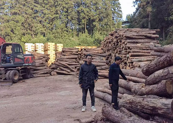 黎平县：实行“林长制+”护航生态环境安全