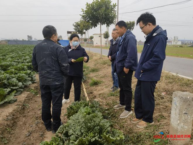 焦作高新区阳庙镇:科学施药环保有序灭虫害