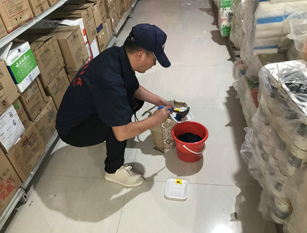 家里出现了四害应该怎么防范除治!西安消杀公司告诉您！