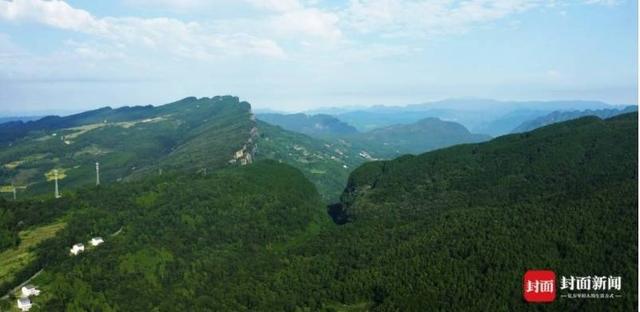 四川完成2024年林业有害生物春季防治工作(图2)