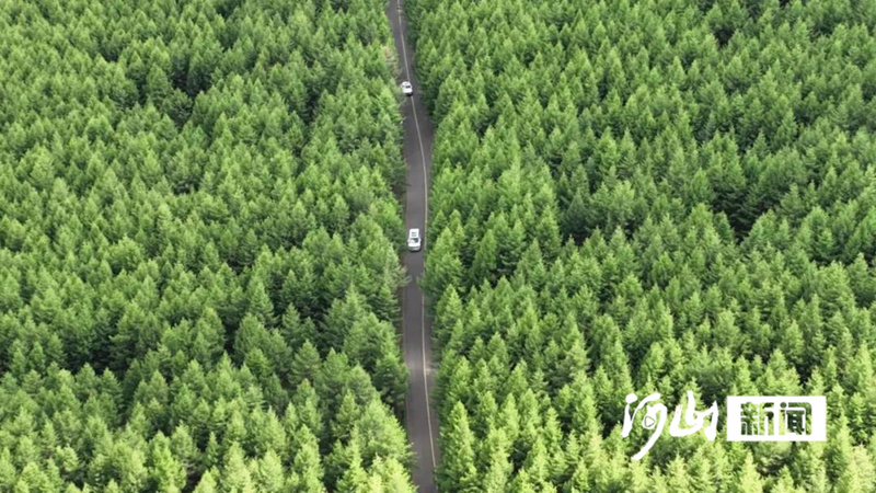 M6米乐平台：答卷2024丨市林草系统：让张家口绿起来富起来美