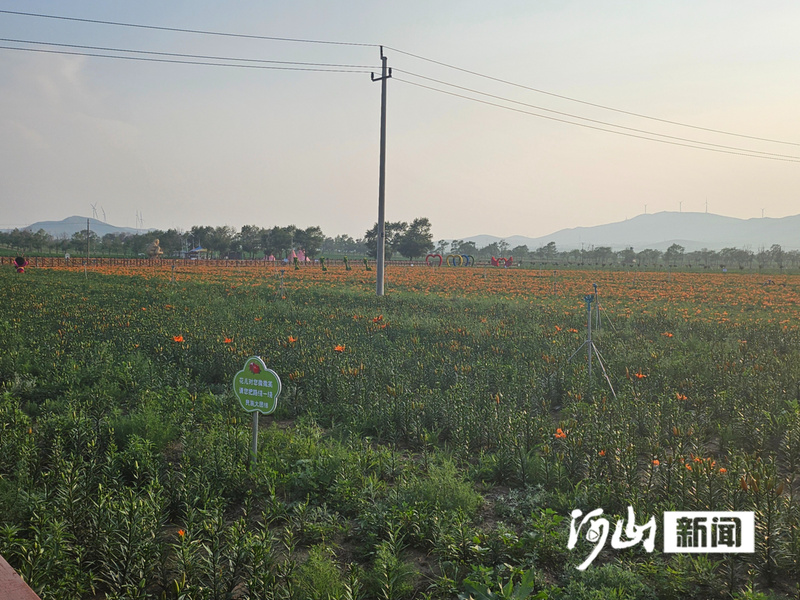 M6米乐平台：答卷2024丨市林草系统：让张家口绿起来富起来美(图2)