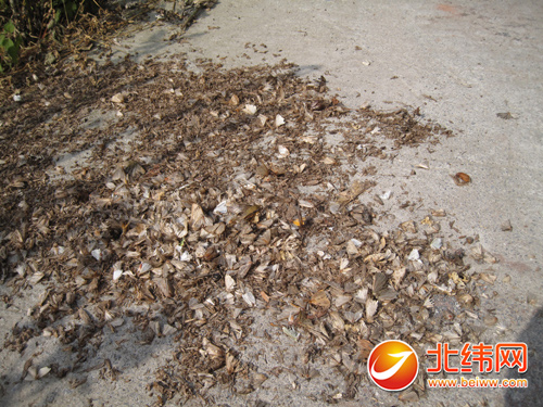 M6米乐平台:市委领导