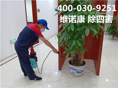 M6米乐:东城天坛专业杀虫灭蚂蚁公司维诺康消杀四害服务
