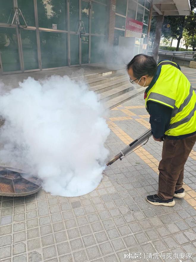 深圳杀蟑螂怎么收费