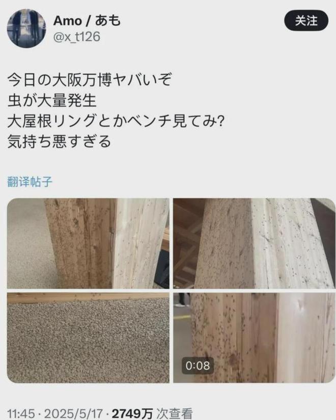 日本世博会惊现虫群危机：场馆爬满虫子有人被咬！(图3)