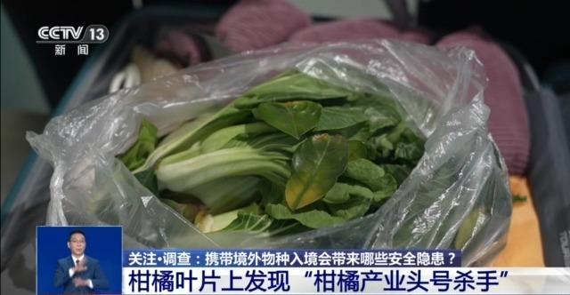 养“异宠”或危害国家安全这些行为违法了(图4)