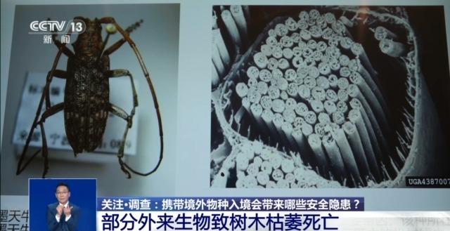 养“异宠”或危害国家安全这些行为违法了(图9)