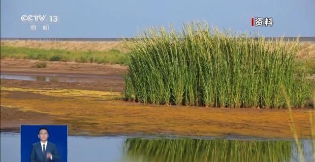 养“异宠”或危害国家安全这些行为违法了(图10)