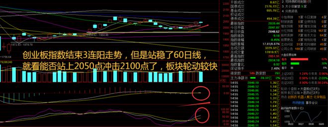 M6米乐：指数大盘4连阳！虫害防治成避风港？资金净流入超10亿引关注(图2)